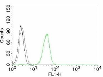Anti-Monkey/Rabbit CD31 Antibody, Sodium Azide Free