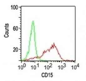 Anti-CD15 Antibody, Sodium Azide Free
