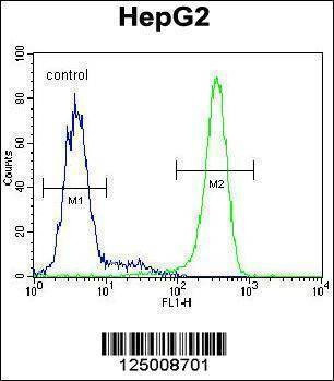 Anti-K0090 (C-term) Antibody