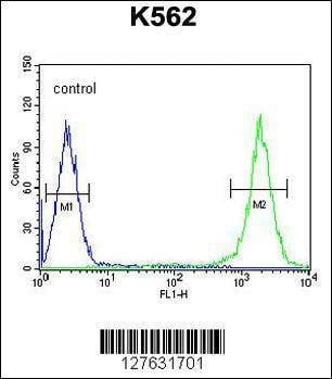 Anti-TFAM (C-term) Antibody
