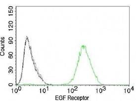 Anti-EGFR Antibody, Sodium Azide Free