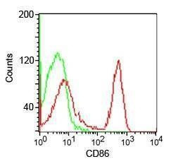 Anti-CD86 Antibody, Sodium Azide Free