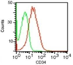 Anti-CD34 Antibody, Sodium Azide Free