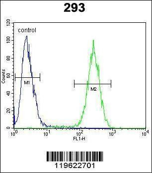 Anti-ENSA (Center) Antibody