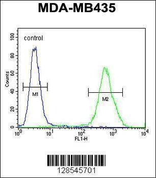 Anti-DEM1 (Center) Antibody