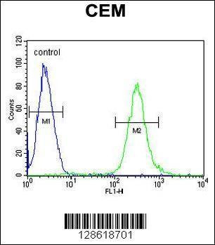 Anti-MCAF2 (Center) Antibody