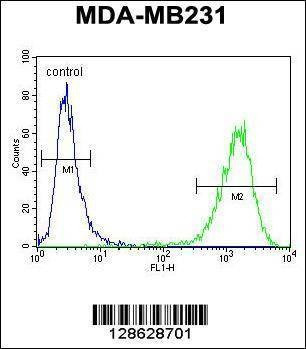 Anti-CF150 (Center) Antibody
