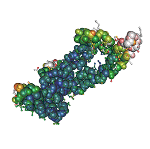 Mouse PAI-1, Recombinant