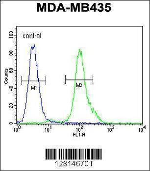 Anti-MYCT1 (C-term) Antibody