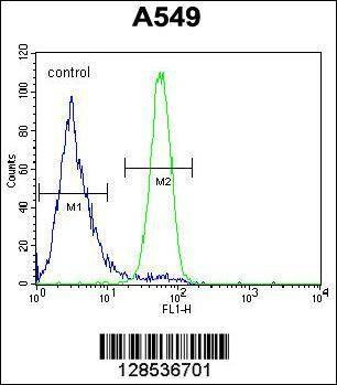 Anti-FSTL1 (C-term) Antibody