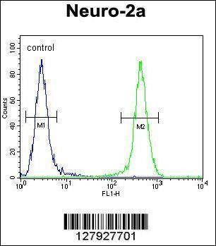 Anti-JOSD2 (N-term) Antibody