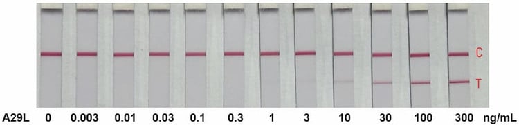 Recombinant Monkeypox Virus IMV Surface Membrane 14-kDa Fusion Protein, A29L