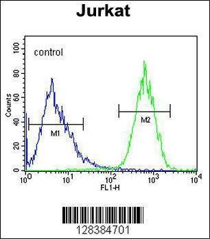 Anti-PRRG3 (Center) Antibody