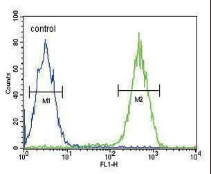 Anti-CD11b (N-term) Antibody