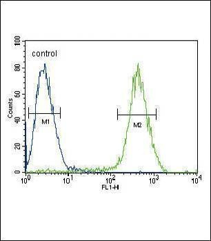 Anti-CB2 (C-term) Antibody