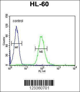 Anti-CSF2 (Center) Antibody
