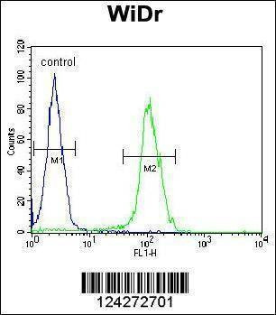 Anti-BEX1 (Center) Antibody