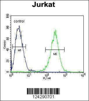 Anti-MPP1 (Center) Antibody