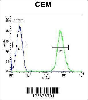 Anti-CD37 (Center) Antibody