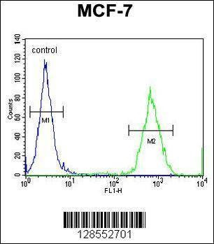 Anti-GPD1L (N-term) Antibody