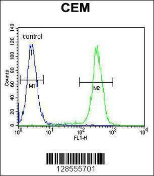 Anti-HIST1H2BJ (Center) Antibody