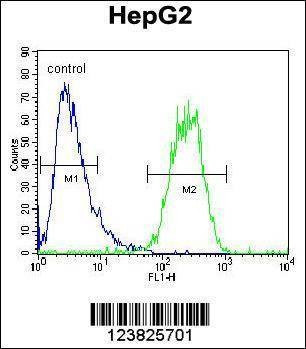 Anti-SEC13 (Center) Antibody