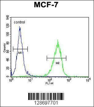 Anti-CO027 (C-term) Antibody