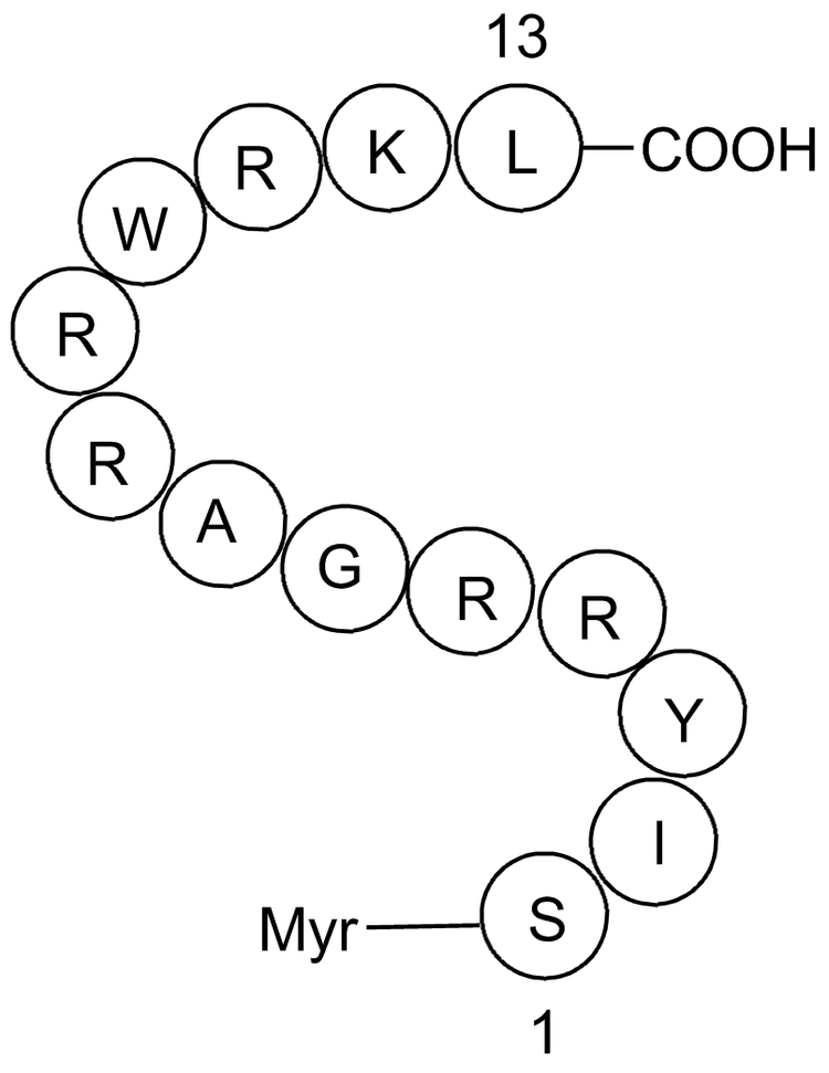 ZIP (SCRAMBLED)