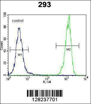 Anti-OR10H1 (C-term) Antibody