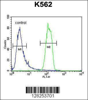 Anti-OR2M3 (C-term) Antibody