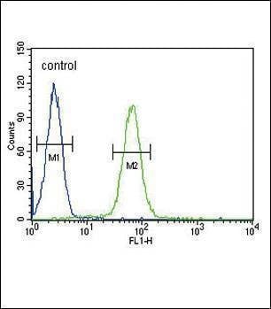 Anti-IGHG1 (Center) Antibody