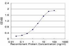 Anti-ATP4B Antibody