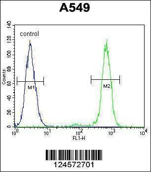 Anti-ANAPC5 (Center) Antibody