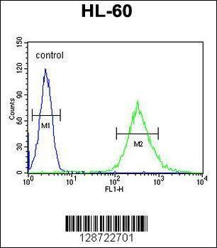 Anti-ENASE (Center) Antibody