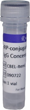 HRP-conjugated Anti-Rabbit IgG Concentrate (Item I1)