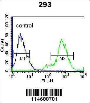 Anti-TIEG (Center) Antibody