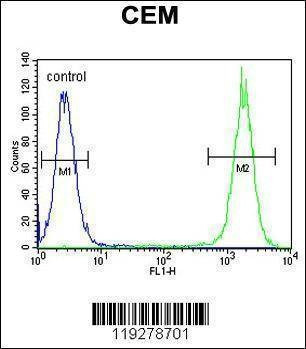 Anti-DUOX2 (Center) Antibody