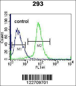 Anti-EPGN (N-term) Antibody
