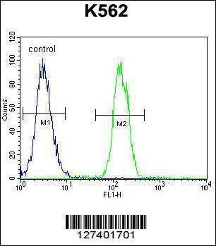 Anti-TMEM151B (N-term) Antibody
