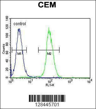 Anti-LIPC (N-term) Antibody