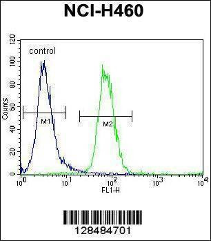 Anti-FX4L1 (N-term) Antibody