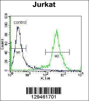 Anti-ZNF648 (N-term) Antibody