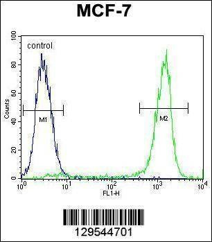 Anti-ZNF829 (Center) Antibody