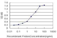 Anti-BCAP29 Antibody