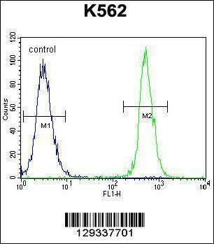 Anti-NUDT19 (Center) Antibody