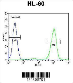 Anti-ADA (C-term) Antibody