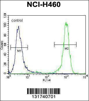 Anti-CHRND (Center) Antibody