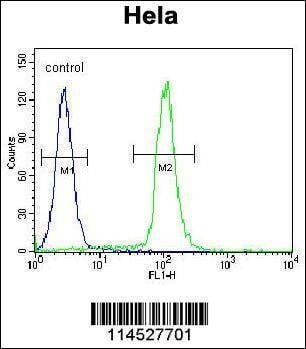 Anti-Mouse GDF6 (N-term) Antibody