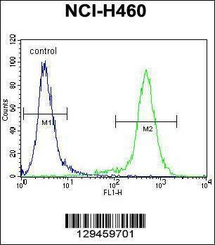 Anti-LCN9 (N-term) Antibody