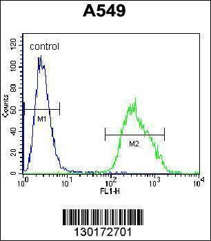 Anti-PALM3 (C-term) Antibody